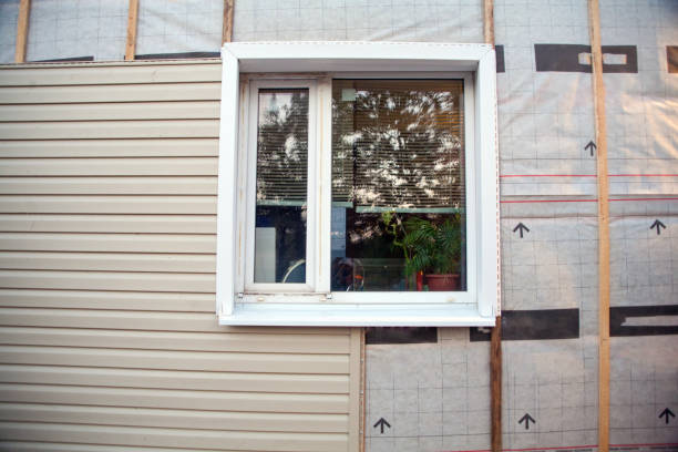 Affordable Siding Repair and Maintenance Services in Minneota, MN